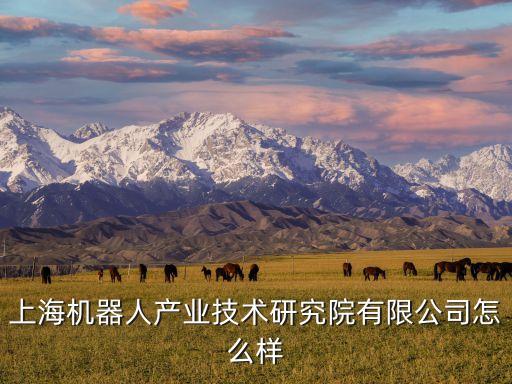 上海機(jī)器人產(chǎn)業(yè)技術(shù)研究院有限公司怎么樣