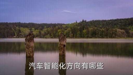 汽車智能化方向有哪些