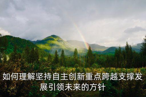 如何理解堅(jiān)持自主創(chuàng)新重點(diǎn)跨越支撐發(fā)展引領(lǐng)未來(lái)的方針