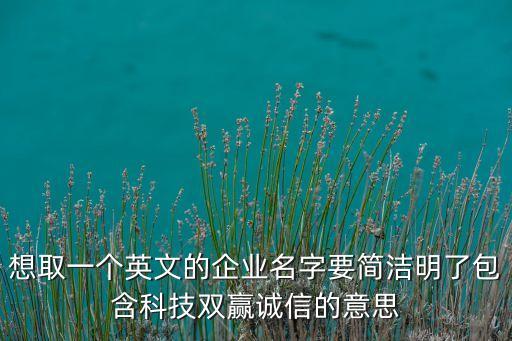有創(chuàng)意的科技公司名字英文，設(shè)計(jì)個(gè)公司的英文名字