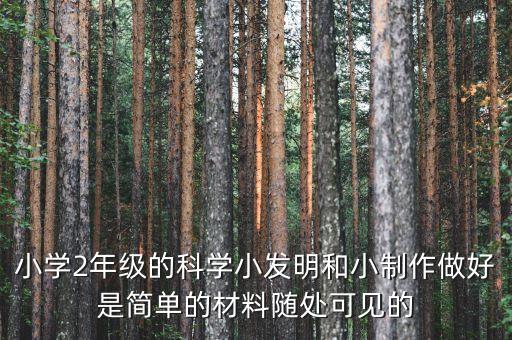 小學(xué)2年級(jí)的科學(xué)小發(fā)明和小制作做好是簡(jiǎn)單的材料隨處可見(jiàn)的
