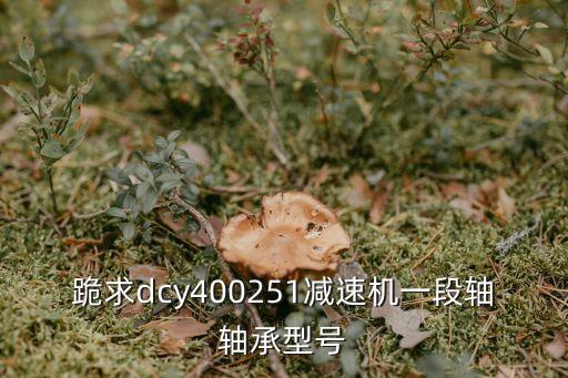 dcy400減速機軸承型號，減速機DCY40040軸徑是多少