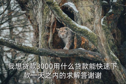 我想貸款3000用什么貸款能快速下款一天之內(nèi)的求解答謝謝