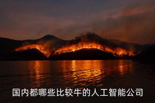 人工智能技術公司排名，國內(nèi)都哪些比較牛的人工智能公司