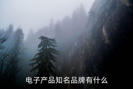 電子產(chǎn)品知名品牌有什么