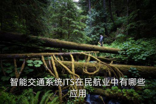 智能交通系統(tǒng)ITS在民航業(yè)中有哪些應(yīng)用