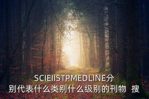SCIEIISTPMEDLINE分別代表什么類別什么級(jí)別的刊物  搜