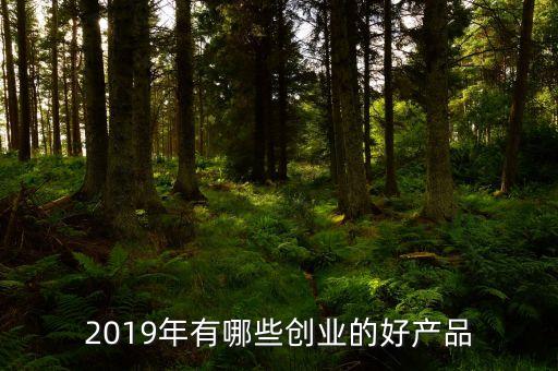 2019創(chuàng)新科技產(chǎn)品，今年有什么新的科技化產(chǎn)品