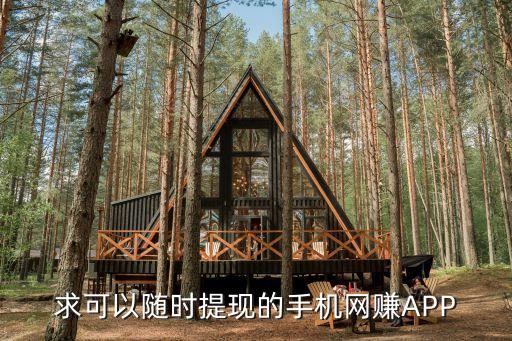 求可以隨時提現(xiàn)的手機網(wǎng)賺APP