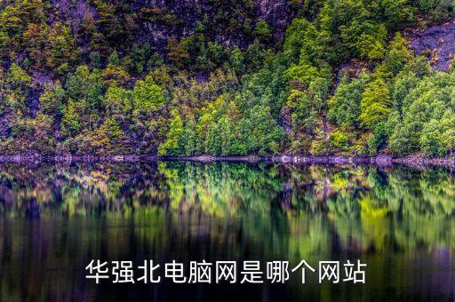 華強(qiáng)北電腦網(wǎng)是哪個網(wǎng)站