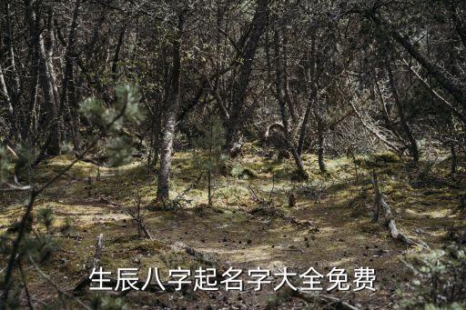 生辰八字起名字大全免費