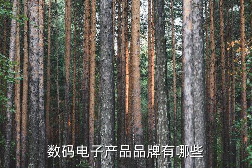 電子產(chǎn)品有什么品牌，數(shù)碼電子產(chǎn)品品牌有哪些