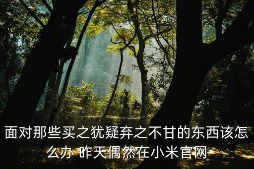 面對那些買之猶疑棄之不甘的東西該怎么辦 昨天偶然在小米官網(wǎng)