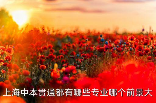 上海中本貫通都有哪些專業(yè)哪個(gè)前景大