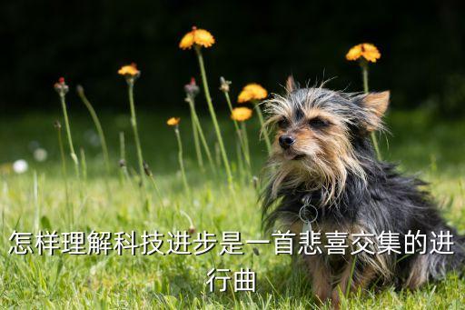 怎樣理解科技進(jìn)步是一首悲喜交集的進(jìn)行曲