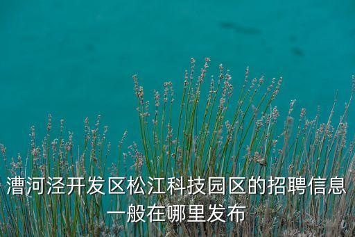 漕河涇開發(fā)區(qū)松江科技園區(qū)的招聘信息一般在哪里發(fā)布