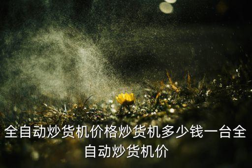 全自動炒貨機價格炒貨機多少錢一臺全自動炒貨機價