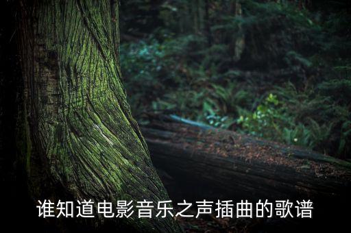 誰知道電影音樂之聲插曲的歌譜