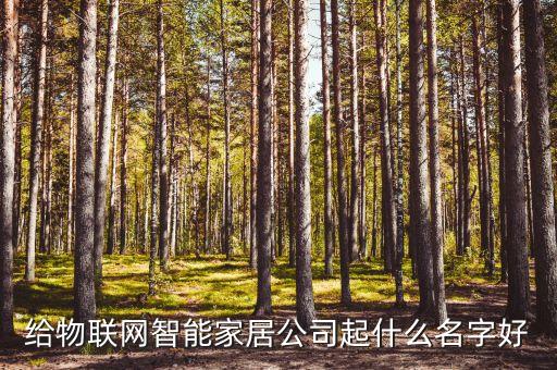 給物聯(lián)網(wǎng)智能家居公司起什么名字好