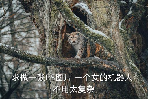 求做一張PS圖片 一個女的機(jī)器人 不用太復(fù)雜