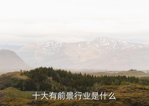 十大有前景行業(yè)是什么