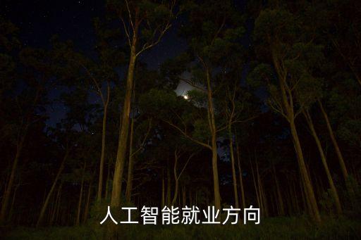 人工智能的就業(yè)方向有哪些，人工智能的就業(yè)方向