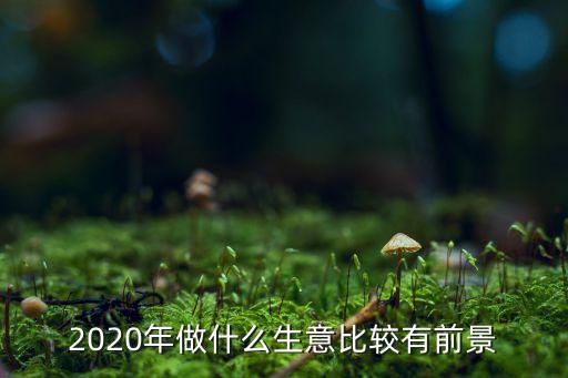 2020年后哪些行業(yè)比較有前景，2020年做什么生意前景好