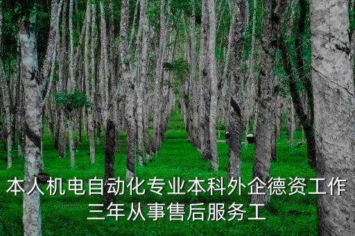 本人機(jī)電自動化專業(yè)本科外企德資工作三年從事售后服務(wù)工