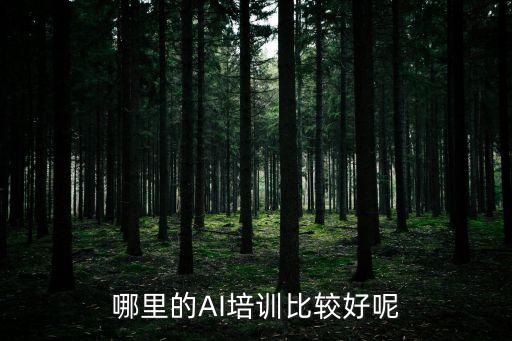 哪里的AI培訓(xùn)比較好呢