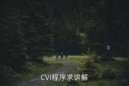 CVI程序求講解
