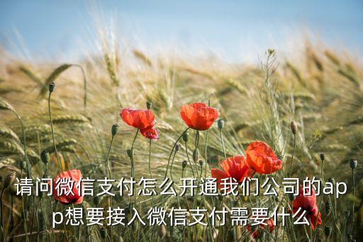 請問微信支付怎么開通我們公司的app想要接入微信支付需要什么