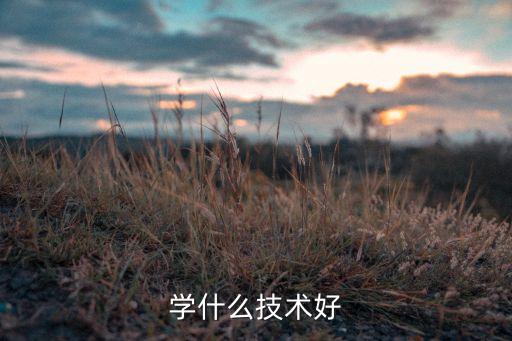 學(xué)什么技術(shù)好
