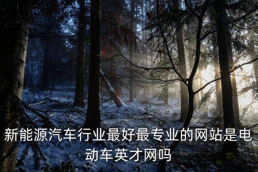 新能源汽車行業(yè)最好最專業(yè)的網(wǎng)站是電動車英才網(wǎng)嗎