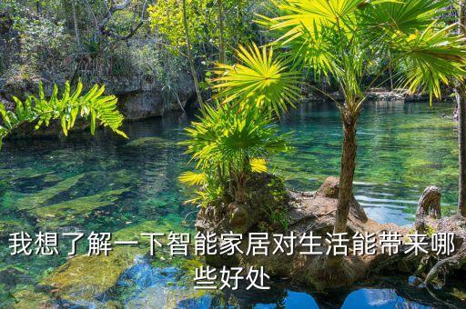 智能家居智慧生活，智慧生活有哪些比較好的智能家居