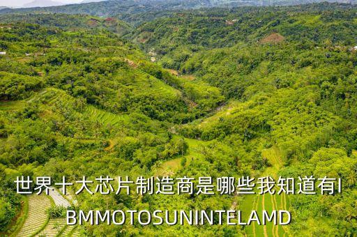 世界十大芯片制造商是哪些我知道有IBMMOTOSUNINTELAMD