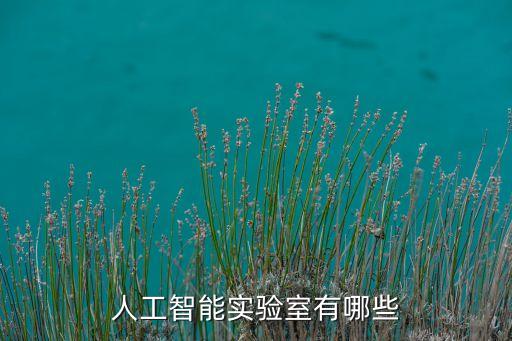 人工智能實(shí)驗(yàn)室有哪些