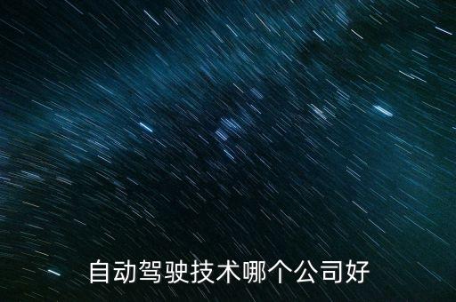 自動駕駛科技公司 排名第一，自動駕駛技術(shù)哪個公司好
