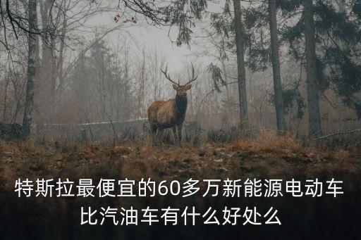 特斯拉最便宜的60多萬新能源電動車比汽油車有什么好處么