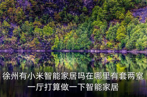 徐州有小米智能家居嗎在哪里有套兩室一廳打算做一下智能家居