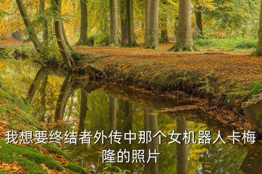 我想要終結(jié)者外傳中那個女機(jī)器人卡梅隆的照片