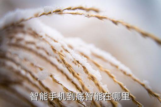 智能手機到底智能在哪里