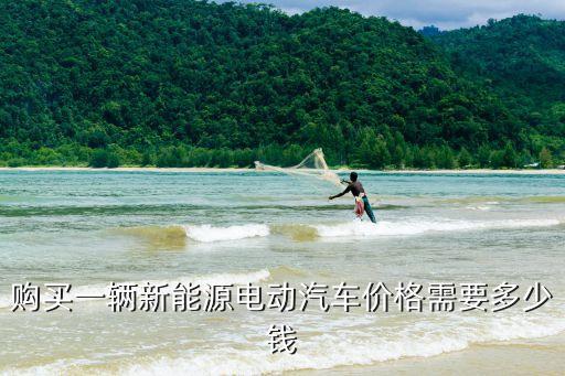新能源汽車中面價(jià)格表，購(gòu)買一輛新能源電動(dòng)汽車價(jià)格需要多少錢