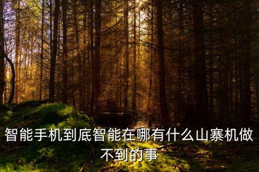 智能東西在哪里呀，智能手機(jī)到底智能在哪有什么山寨機(jī)做不到的事