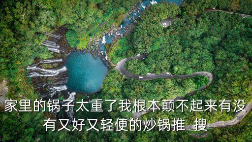 家里的鍋?zhàn)犹亓宋腋绢嵅黄饋碛袥]有又好又輕便的炒鍋推  搜