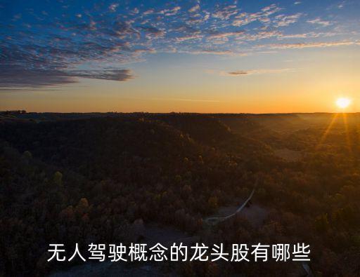 無(wú)人駕駛股市龍頭股，無(wú)人駕駛概念的龍頭股有哪些