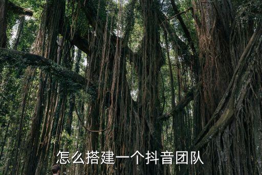 智能創(chuàng)作團(tuán)隊(duì) 抖音，怎么搭建一個(gè)抖音團(tuán)隊(duì)