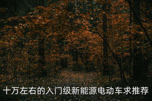 十萬(wàn)左右的入門級(jí)新能源電動(dòng)車求推薦