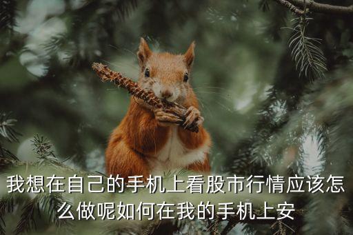 我想在自己的手機上看股市行情應(yīng)該怎么做呢如何在我的手機上安