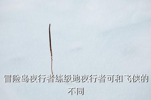瘋狂騎士團(tuán)高科技，冒險島出了什么新職業(yè)怎么加能力值具體信息