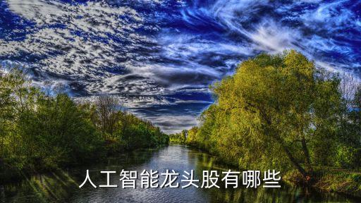 人工智能芯片龍頭上市公司，人工智能芯片誰是龍頭 智能芯片上市企業(yè)有哪些